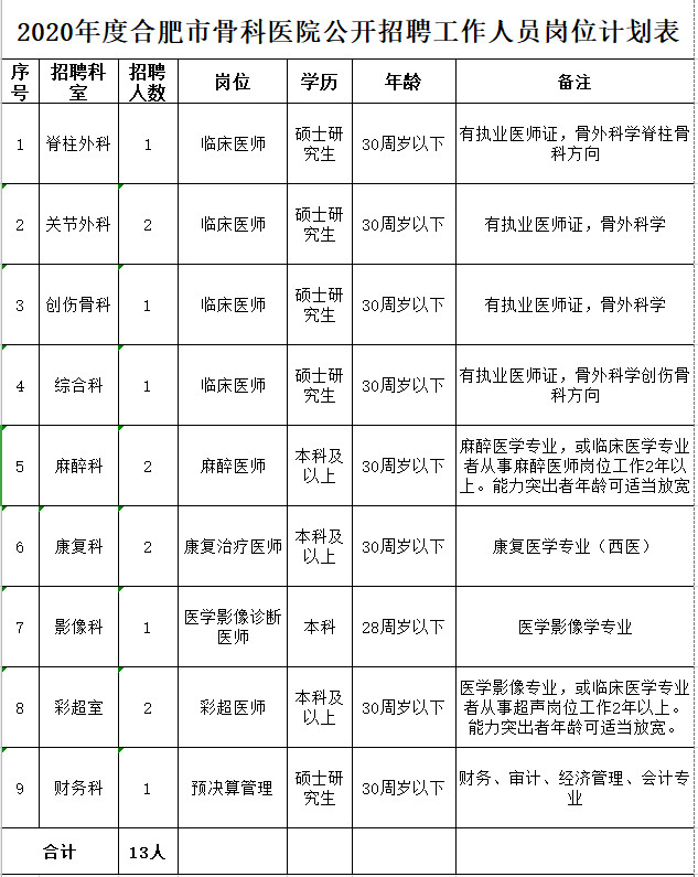 合肥市骨科醫(yī)院公開(kāi)招聘工作人員崗位計(jì)劃表